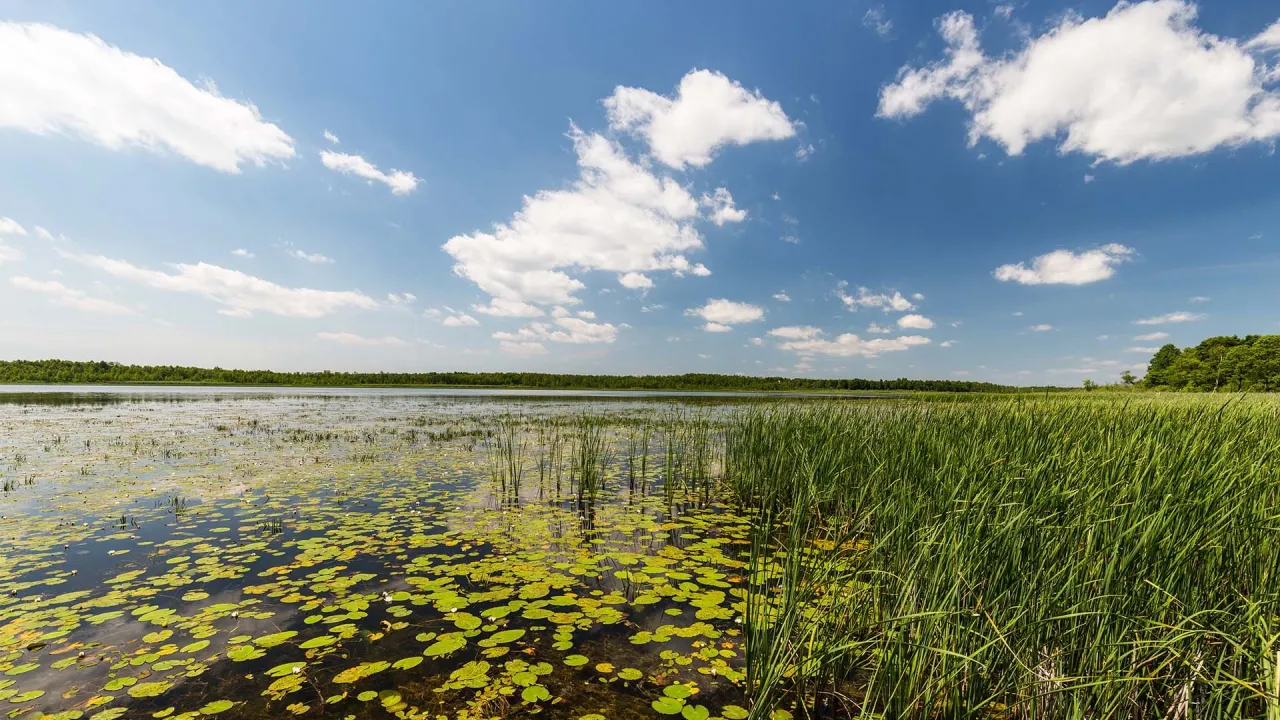 Poleski Park Narodowy krajobrazy