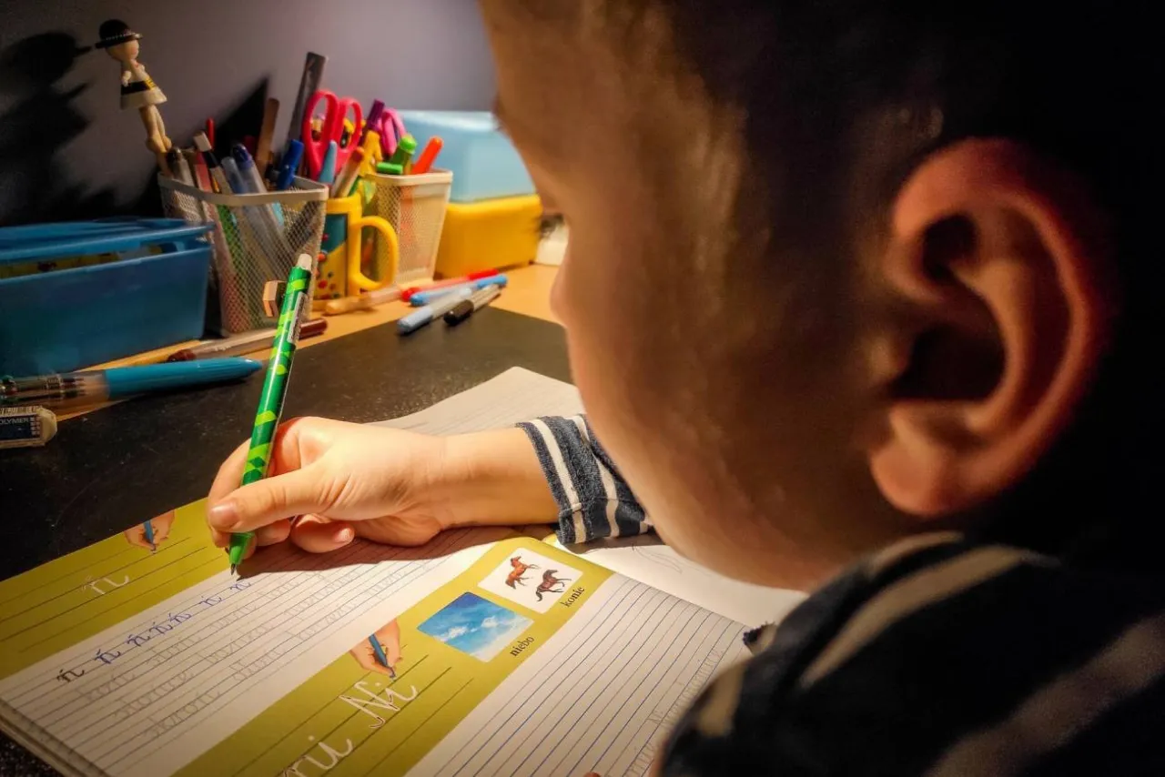 zalety wady edukacji domowej Szkoła w Chmurze