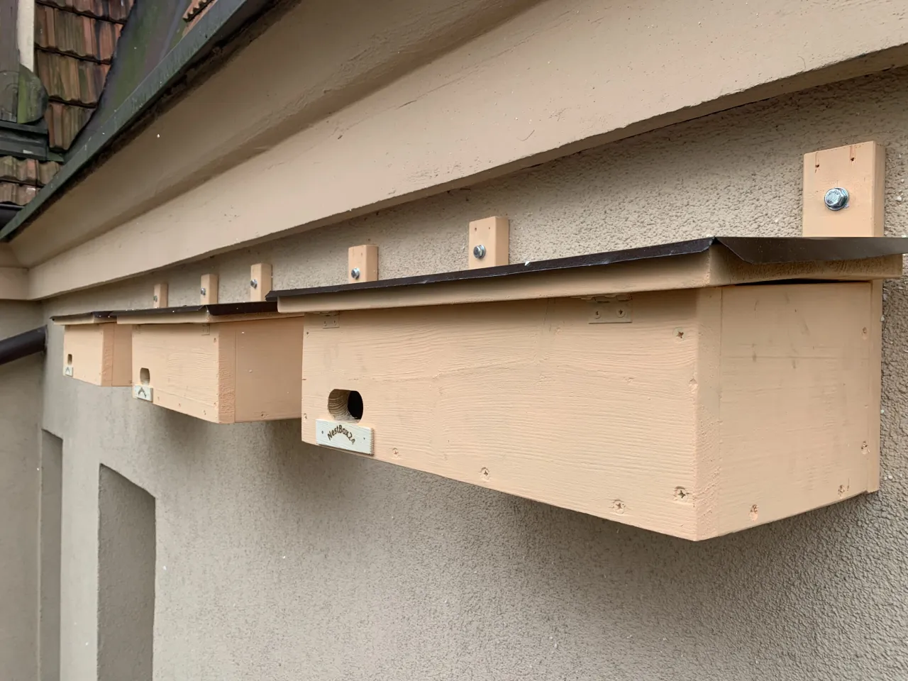 Budka lęgowa dla wr&oacute;bli na budynku