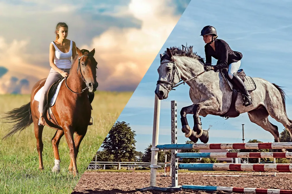 jazda konna rekreacyjna treningowa porównanie