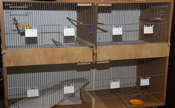 klatka lęgowa dla kanark&oacute;w