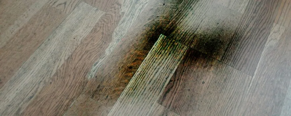 usuwanie plamy z oleju z drewnianej podłogi