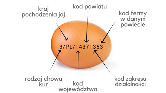 oznaczenia jajek na skorupkach 0 1 2 3