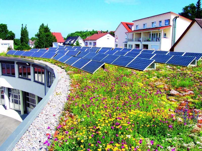 zielony dach fotowoltaika nowoczesne dekarstwo