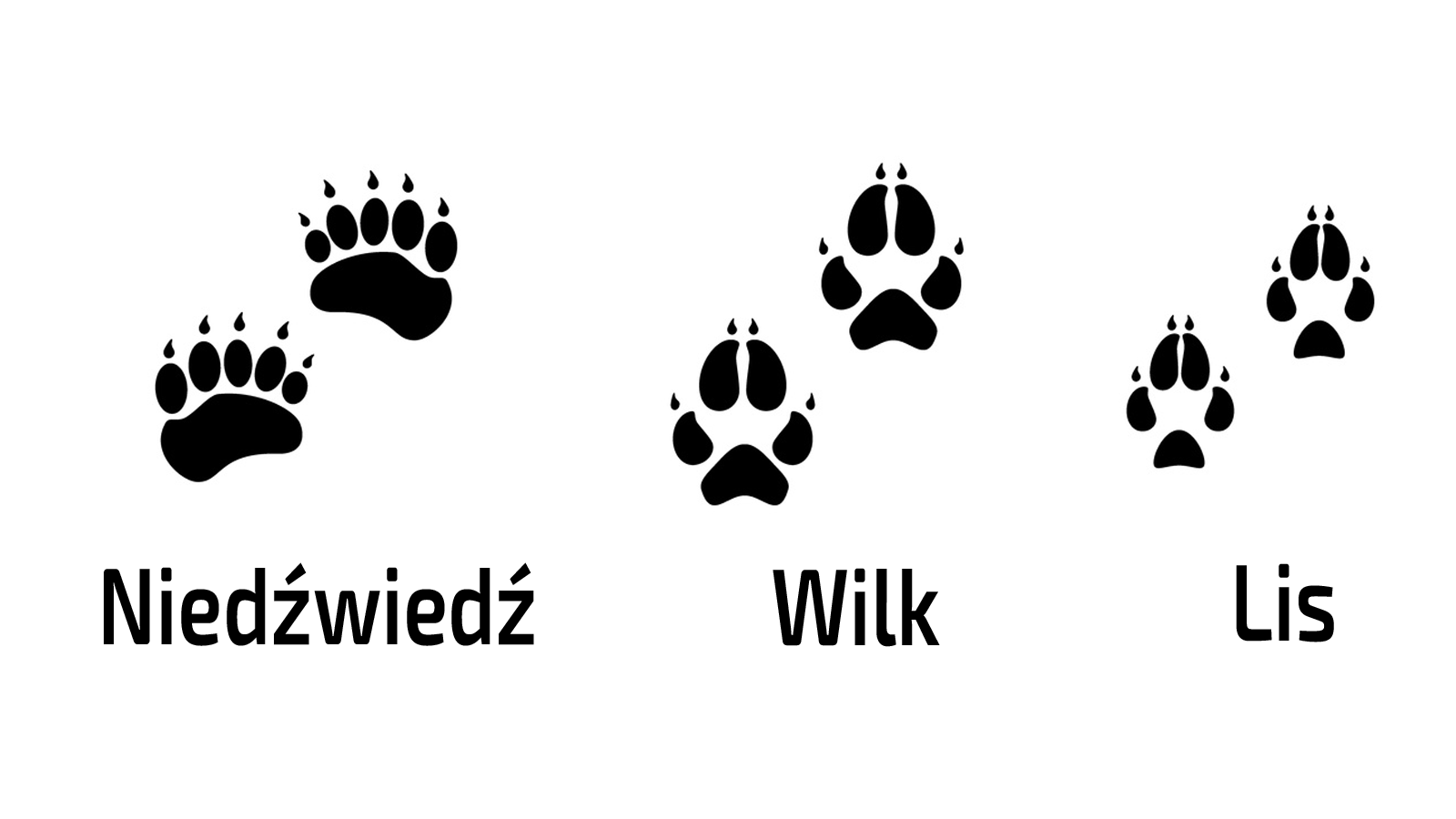 Tropy zwierząt g&oacute;rskich na śniegu atlas