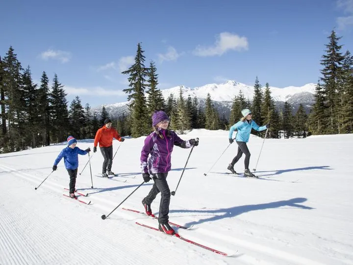 schemat ubioru na cebulkę narciarstwo biegowe