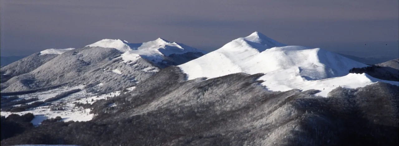 Zimowy szlak w Bieszczadach z tyczkami