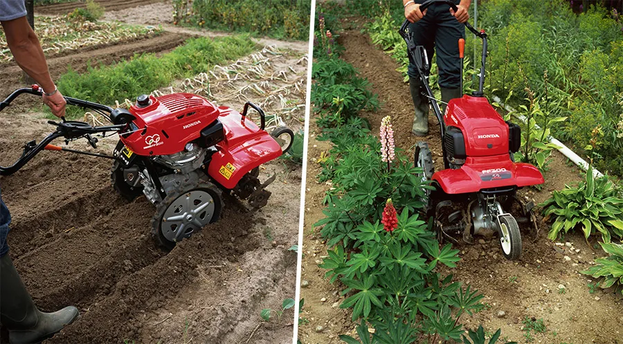 Glebogryzarka z silnikiem Rato vs Honda