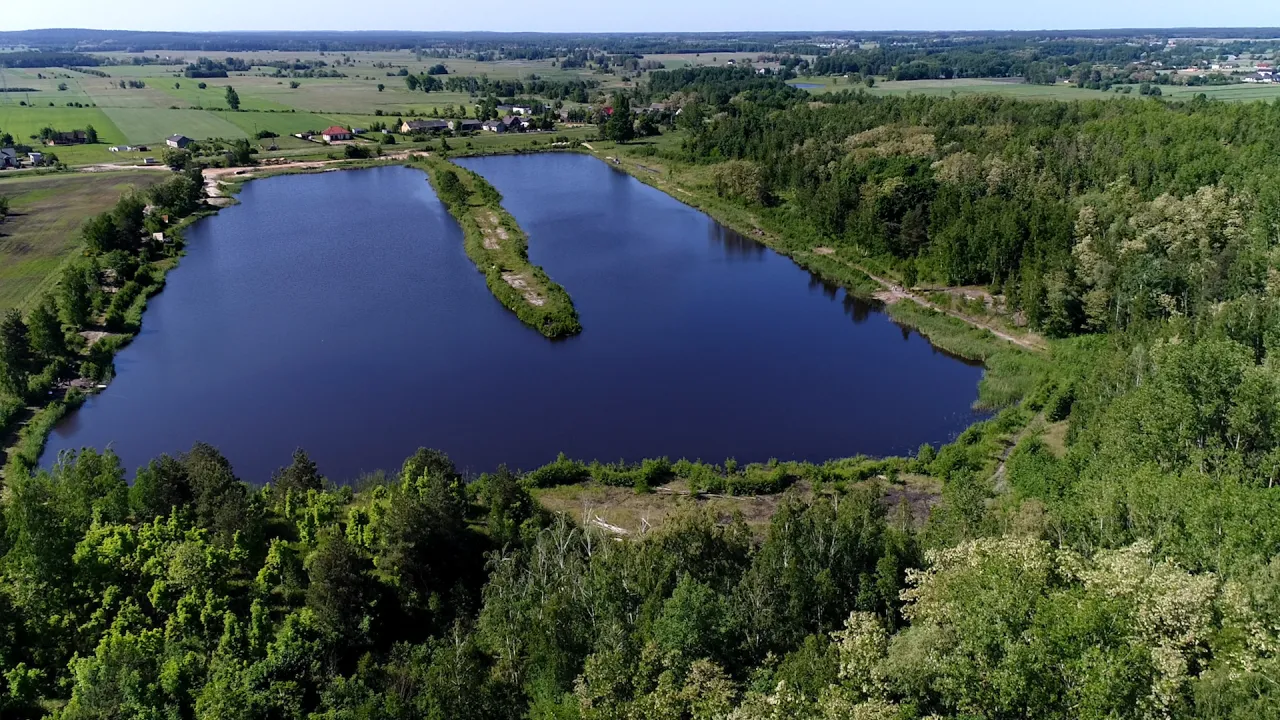 karp amur jesiotr Borowy Staw