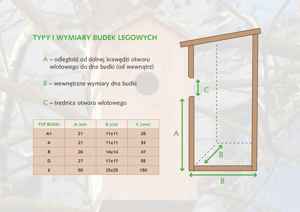budowa budki lęgowej dla sikorki krok po kroku