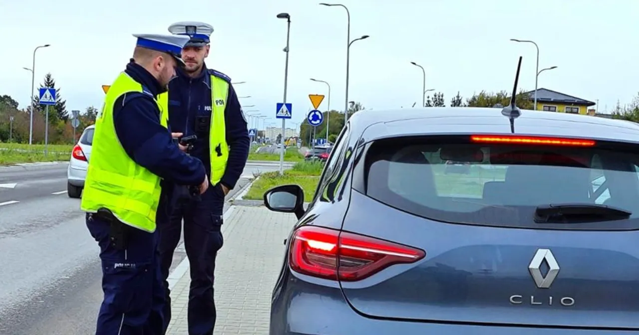 policja kontrola drogowa mandat