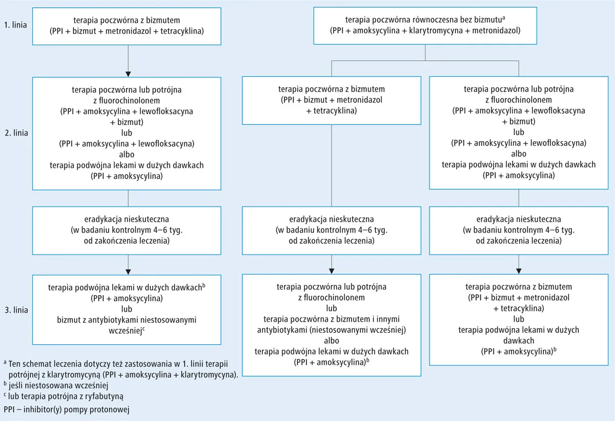 Helicobacter pylori leczenie schemat