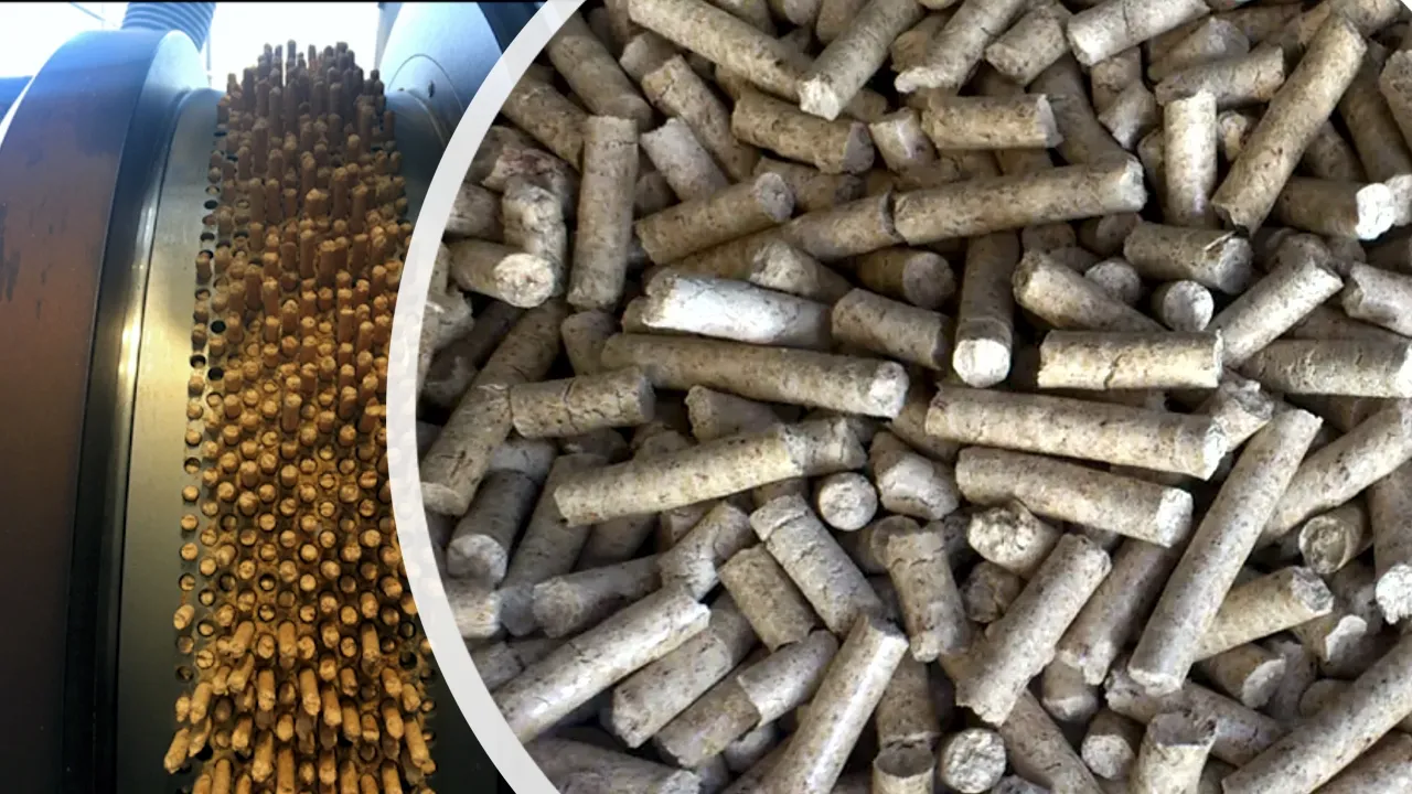 Zdjęcie Jak produkować pellet: krok po kroku do efektywnej produkcji