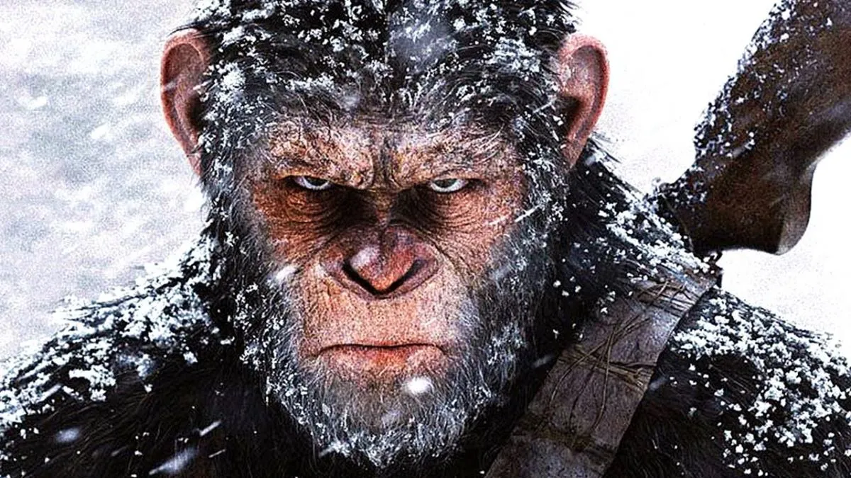 Zdjęcie Planeta Małp: Seria Filmów o Ewolucji i Konflikcie Gatunków
