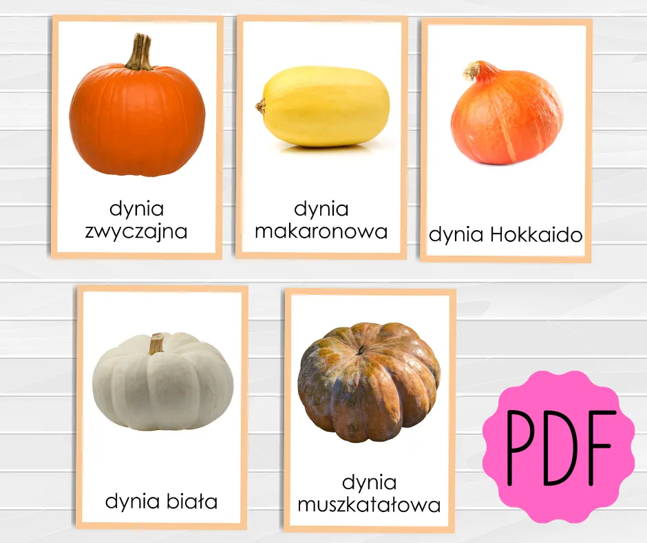 różne gatunki dyni jadalnej