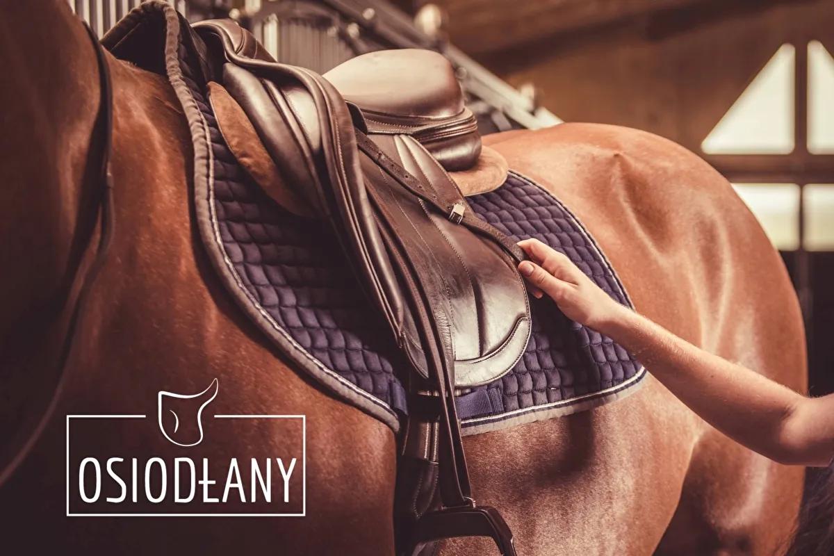 saddle fitter dopasowujący siodło do konia