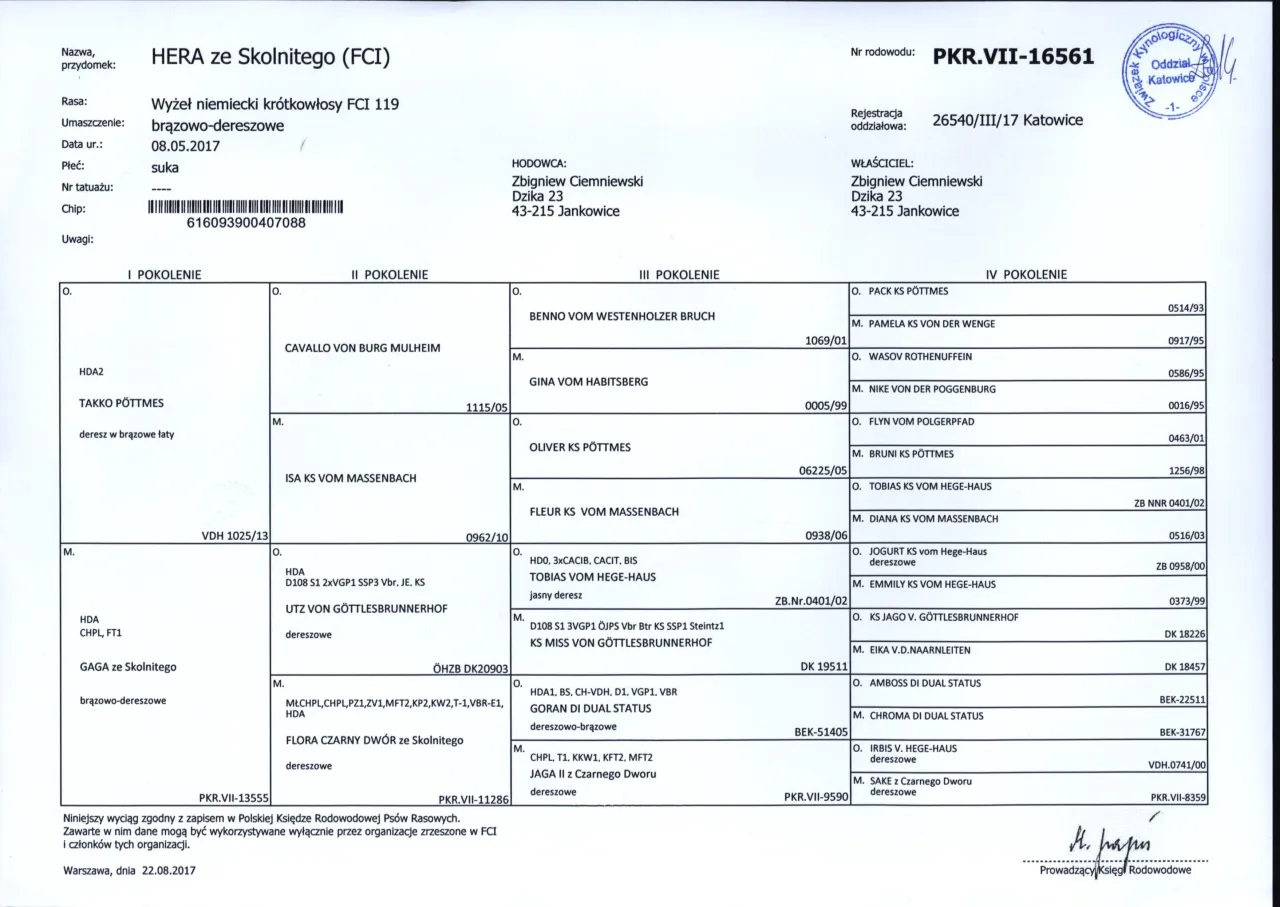 Dokumenty psa rodowód