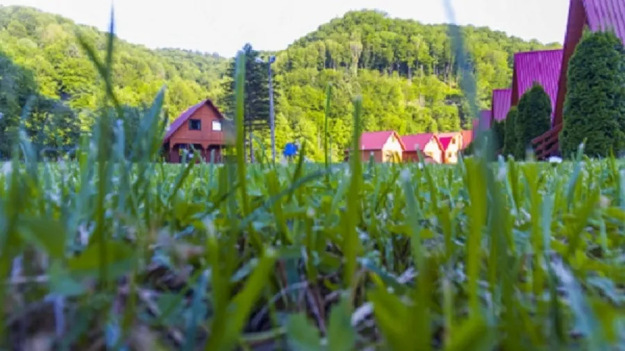 Zdjęcie Idealny nocleg w Bieszczadach: Domki, agroturystyka i więcej. Tw&oacute;j przewodnik!
