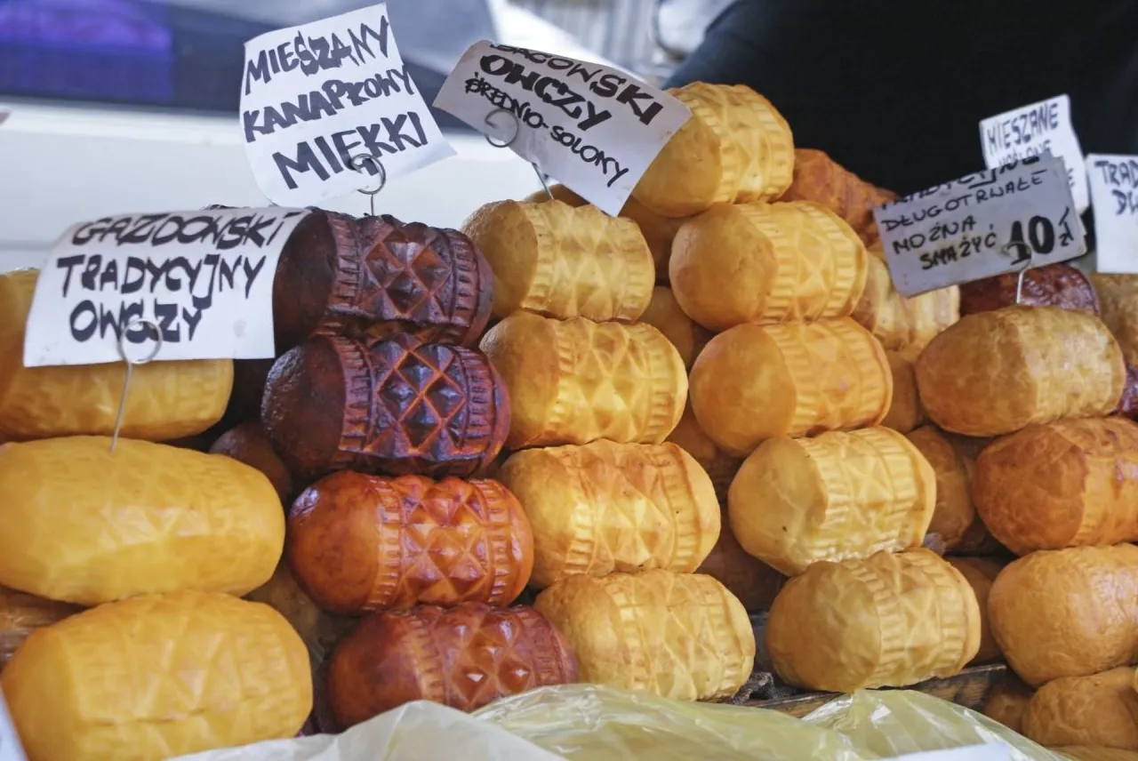 znak chroniona nazwa pochodzenia bryndza podhalańska