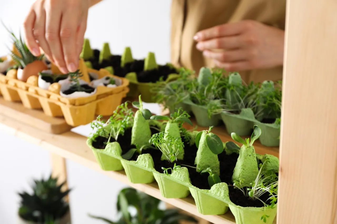 kreatywne wykorzystanie wytłaczanek na jajka diy