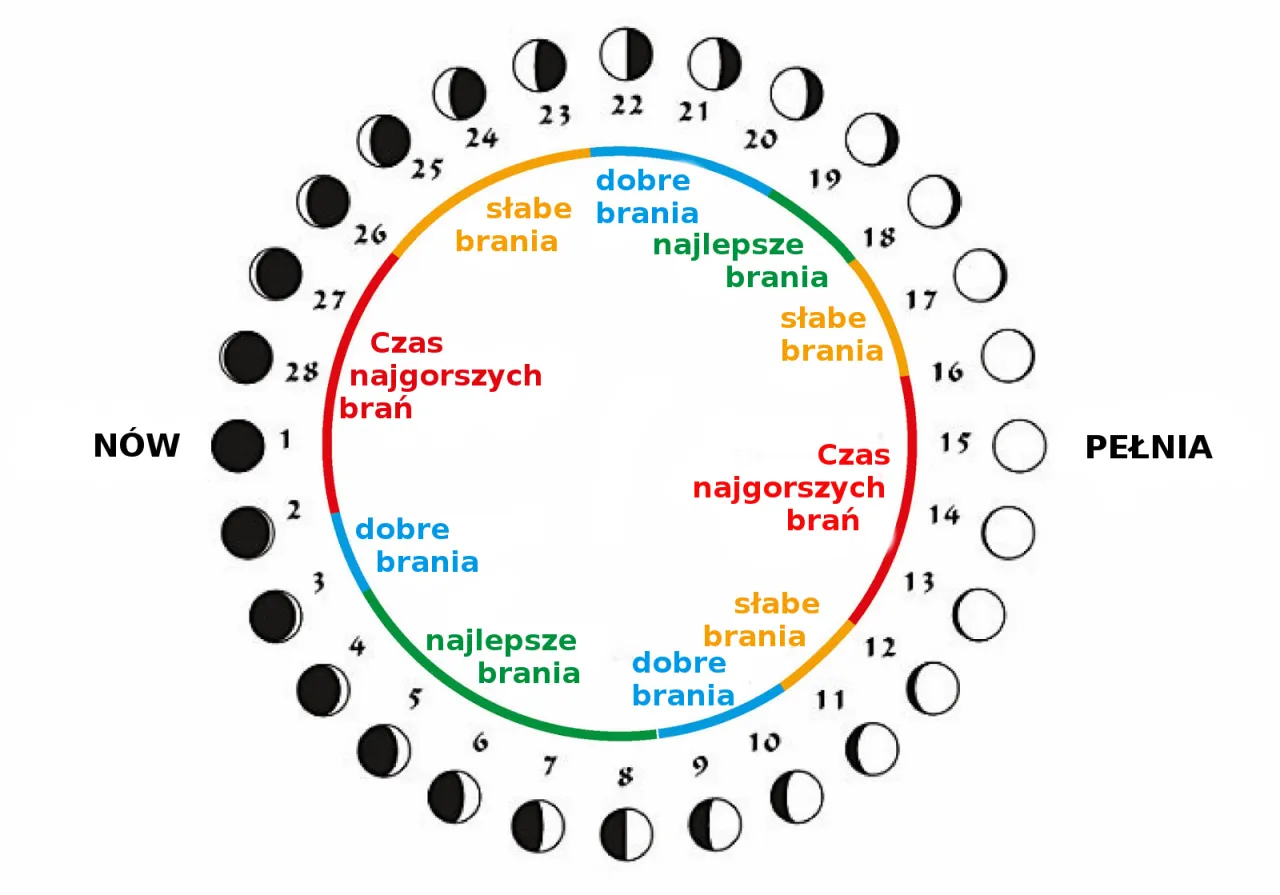 fazy księżyca wpływ na ryby