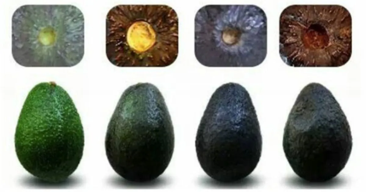 jak wybrać dobre awokado test dojrzałości