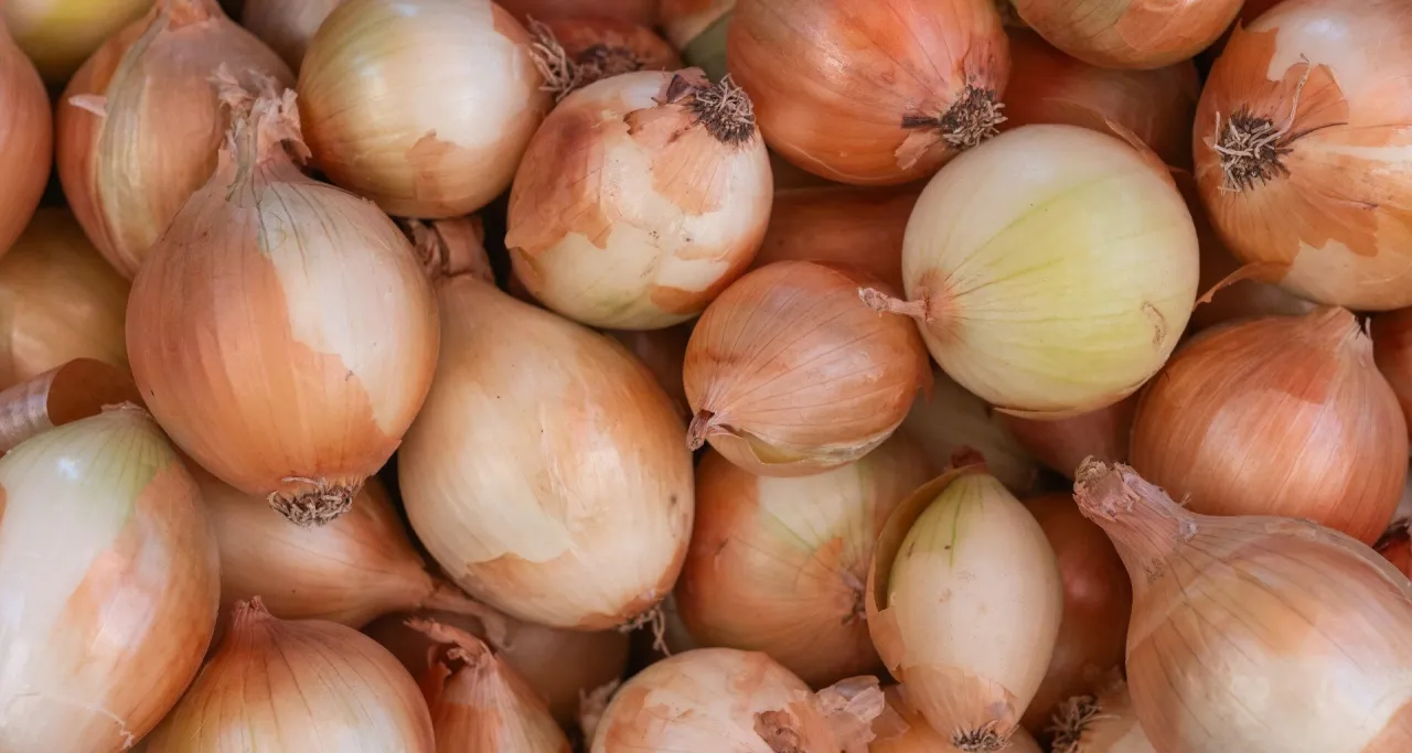 pies jedzący cebulę niebezpieczeństwo