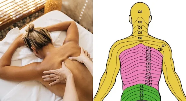 masaż plec&oacute;w schemat, strefy masażu plec&oacute;w