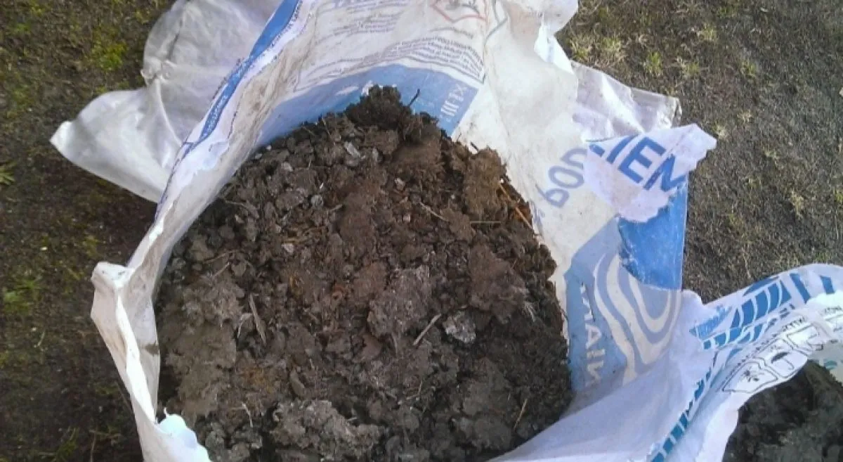 obornik gołębi naw&oacute;z