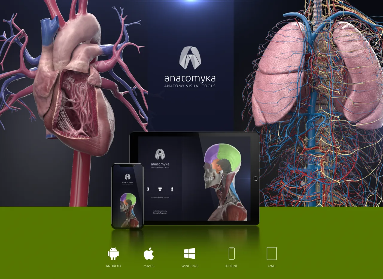 Aplikacja do nauki anatomii 3D na tablecie