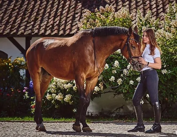 Nauka jazdy konnej w stadninie