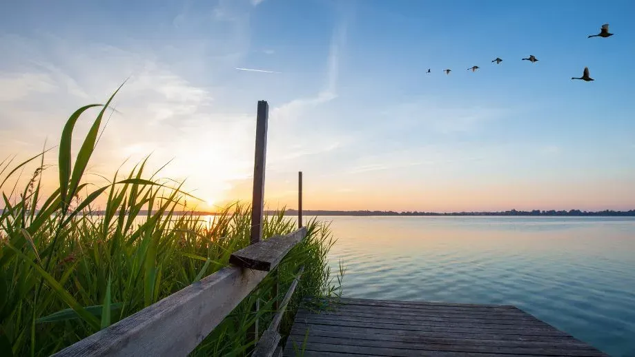 Jezioro Powidzkie czysta woda krajobraz