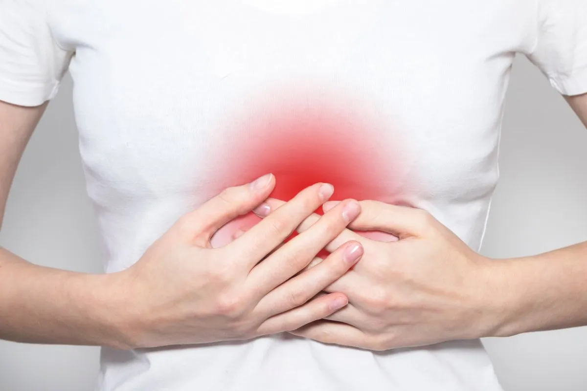 anatomia splotu słonecznego