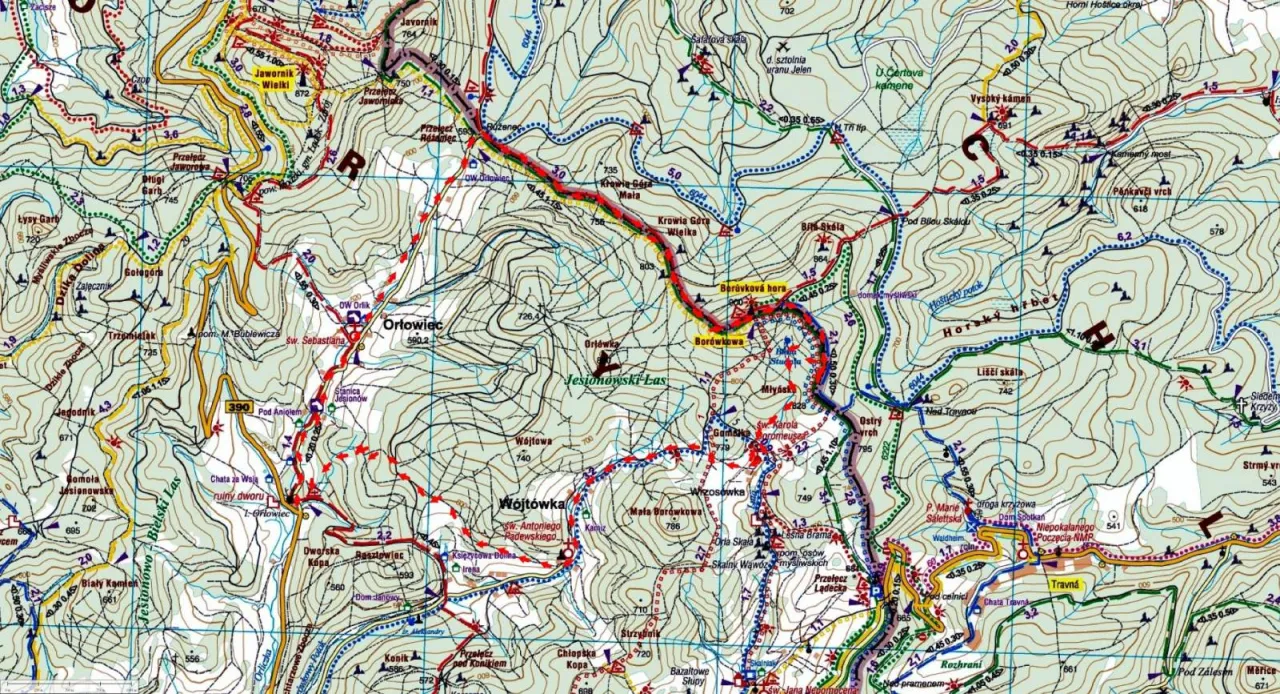 szlaki turystyczne Bor&oacute;wkowa G&oacute;ra mapa