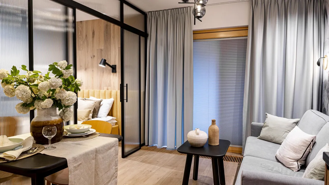 projekt kawalerki 30m2 strefy