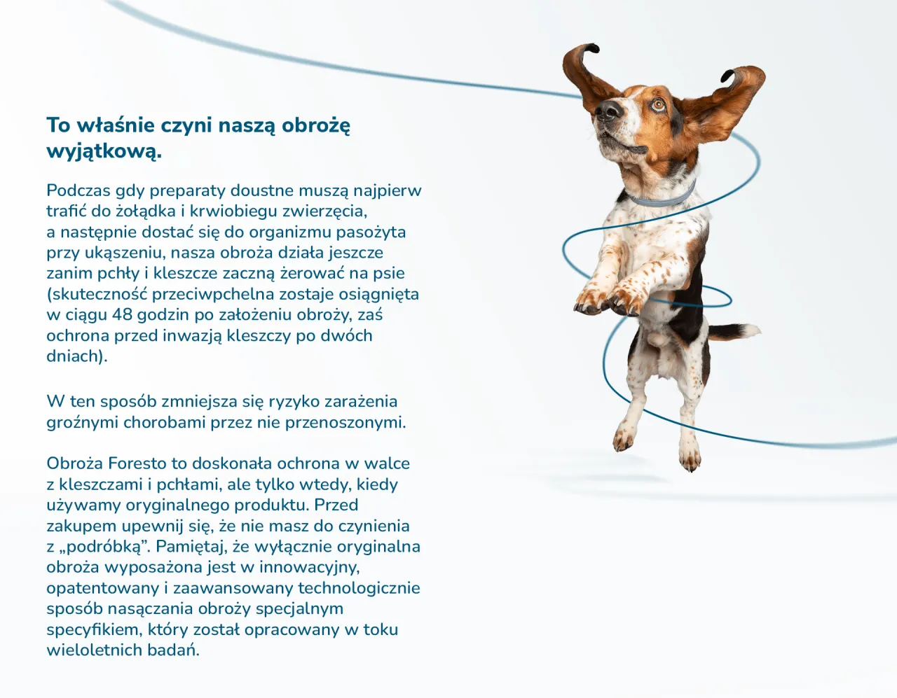 r&oacute;żne metody ochrony psa przed kleszczami por&oacute;wnanie
