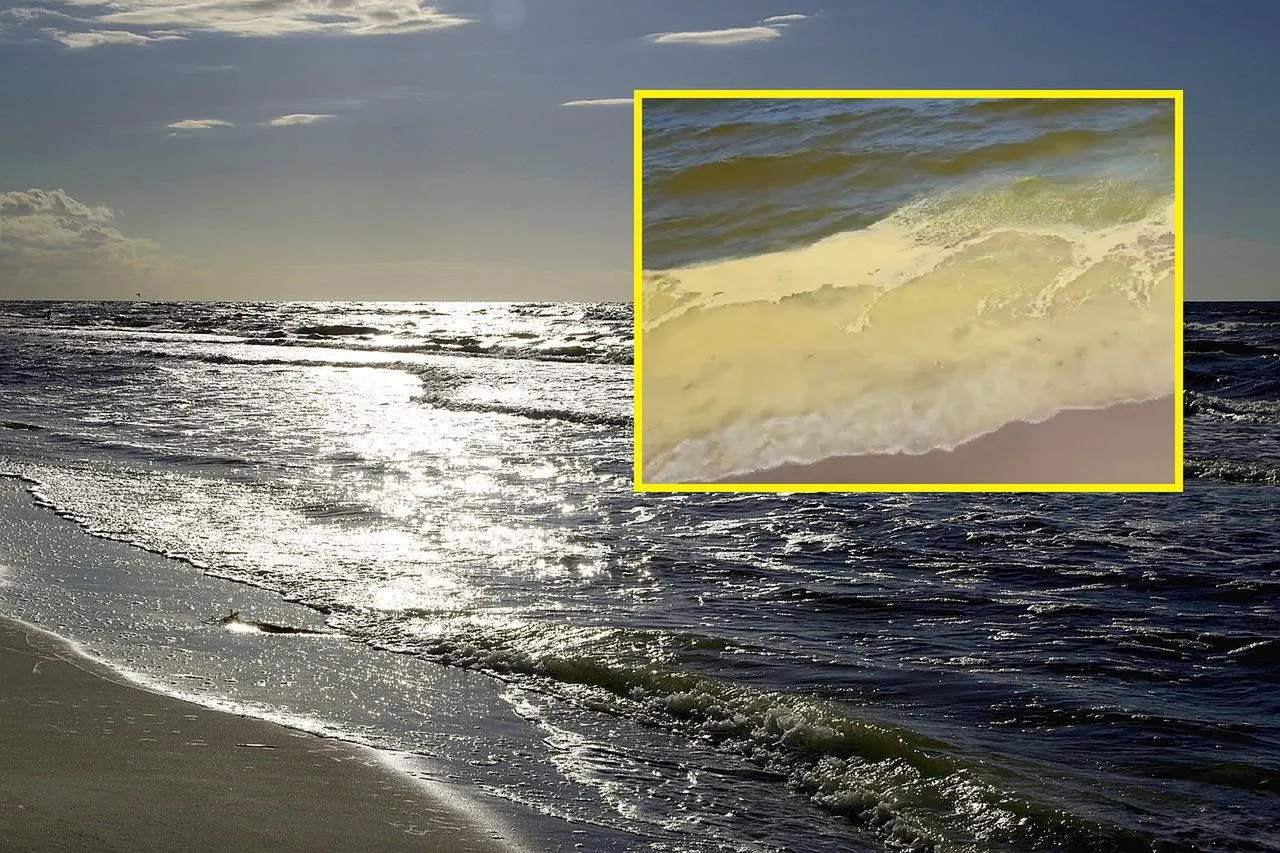 Kolor wody Bałtyku w Polsce, przejrzystość Bałtyku