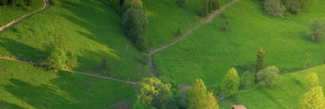 Tatrzańska Dolina Kościeliska Chochołowska