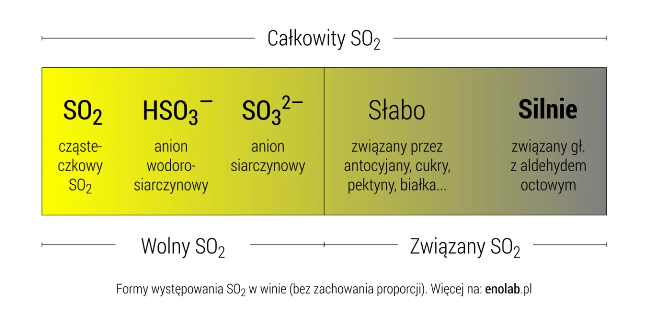 dwutlenek siarki wzór chemiczny wino