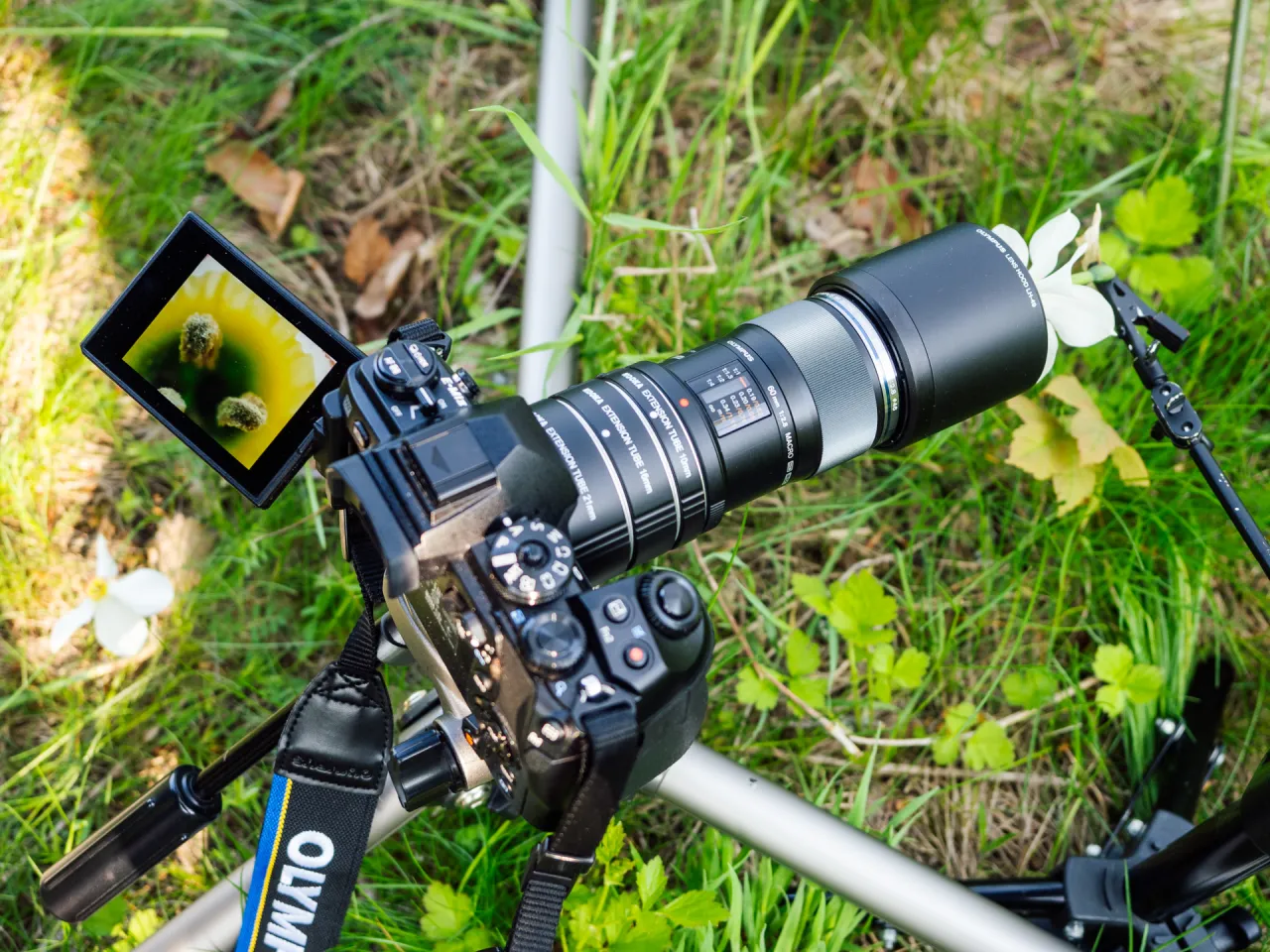 przykładowe obiektywy makro do aparatu