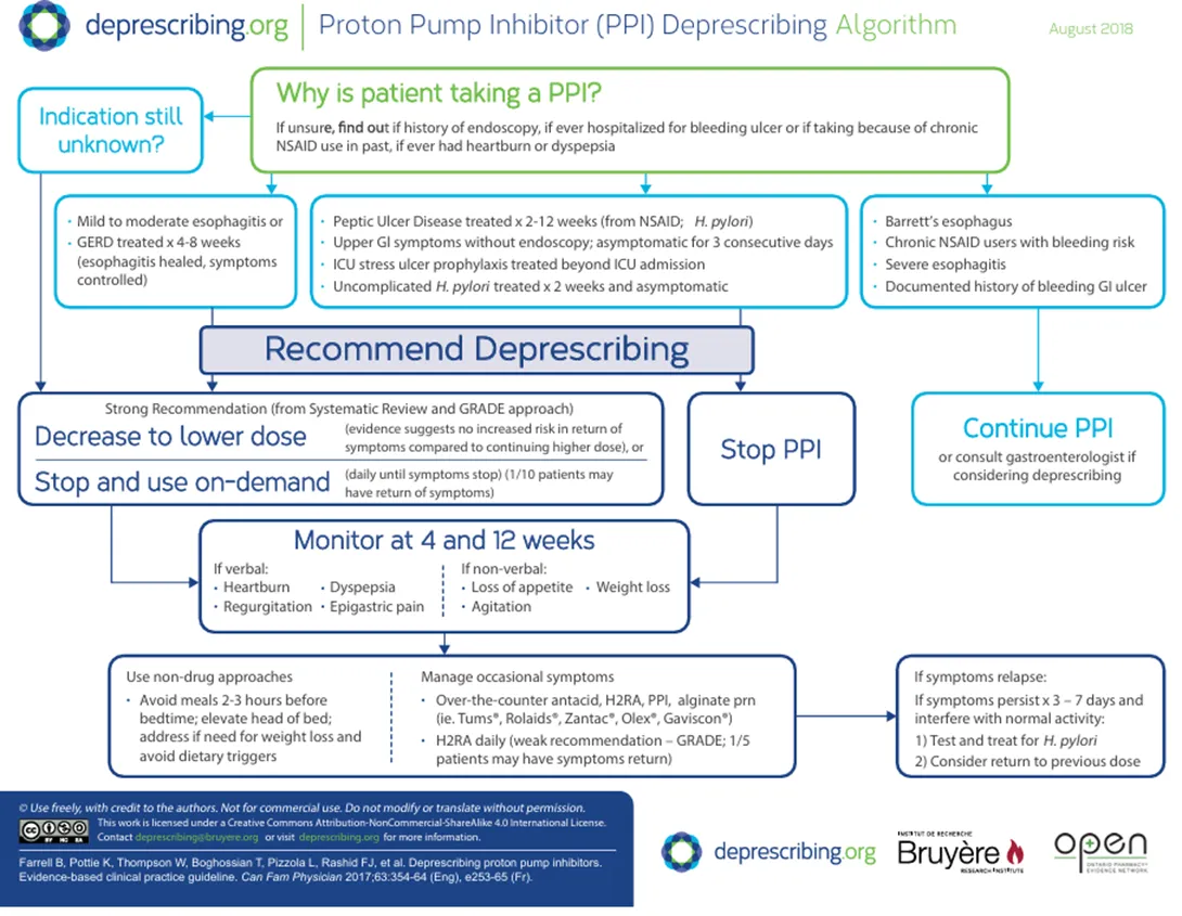 mechanizm działania IPP infografika