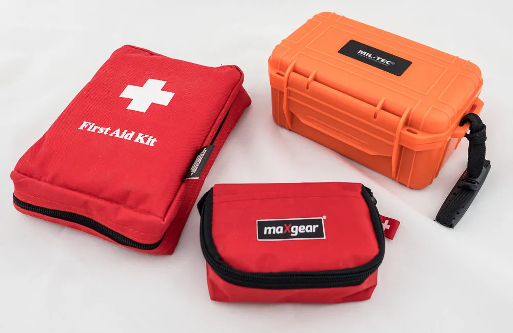 apteczka podróżna leki do anglii