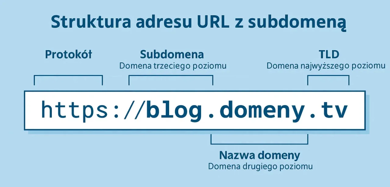 Struktura domeny internetowej z podziałem na TLD, SLD, subdomenę