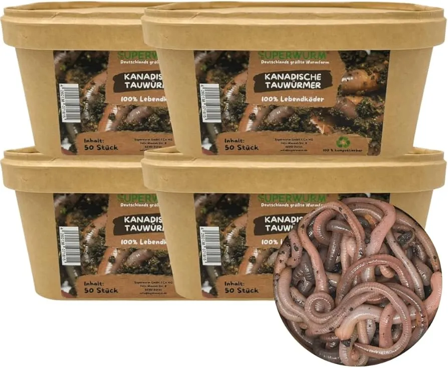 przechowywanie robak&oacute;w wędkarskich