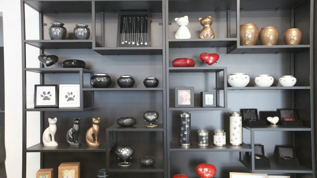 krematorium dla zwierząt, godne pożegnanie kota