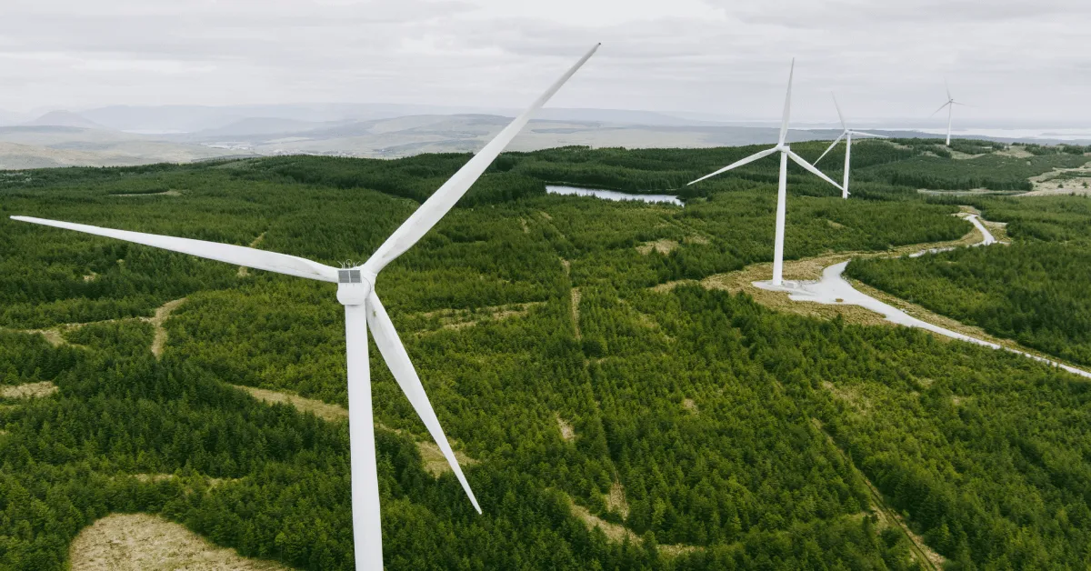 Zdjęcie Jaka elektrownia wiatrowa? Sprawdź, jak zaoszczędzić na energii