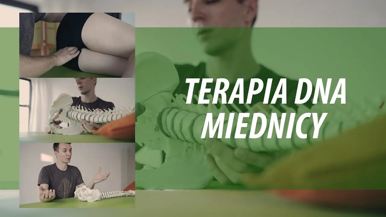 terapia manualna miednicy