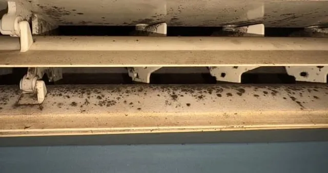 widoczna pleśń na kratce klimatyzacji