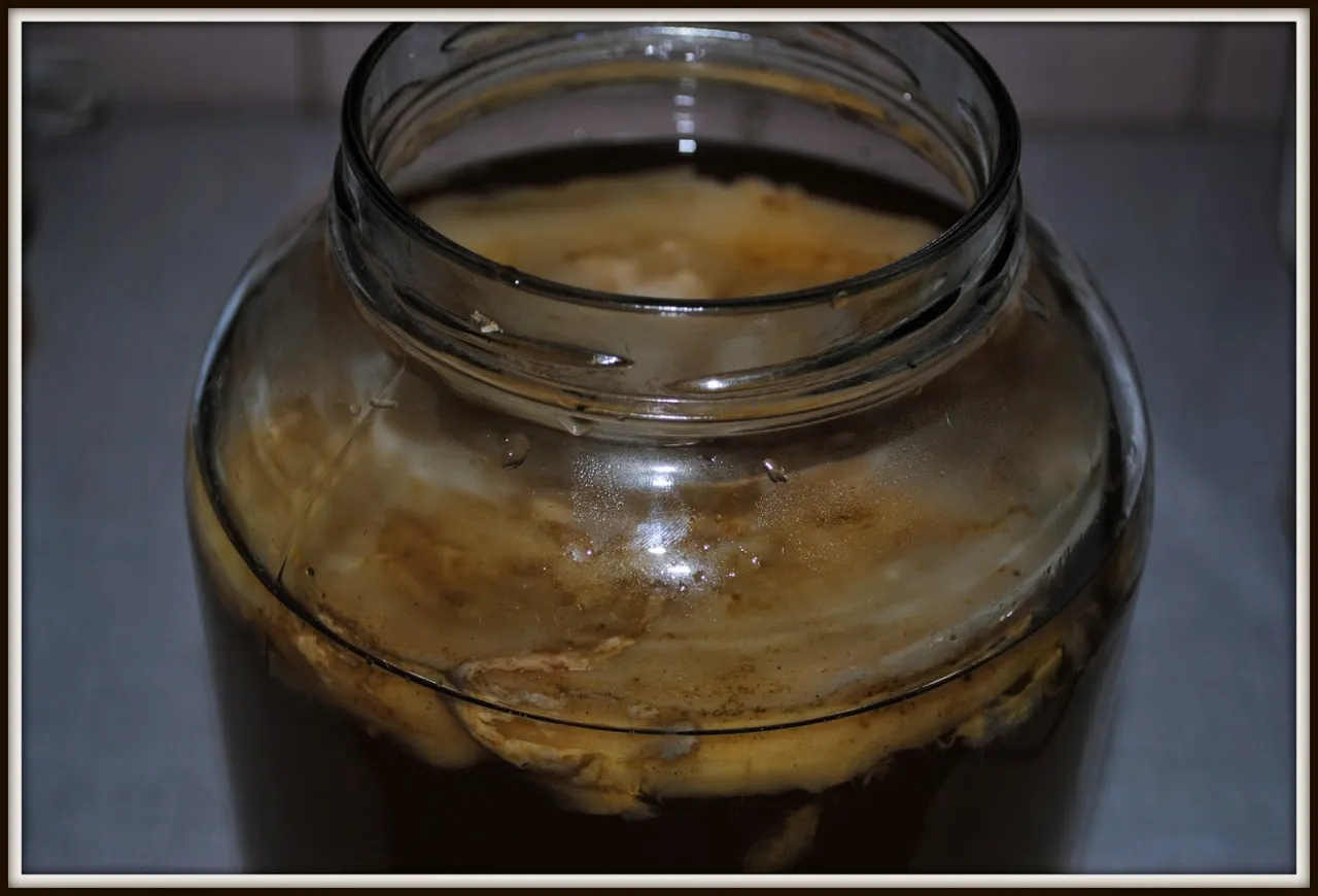 Jak naprawdę smakuje kombucha? Rozbijamy mit octowego napoju