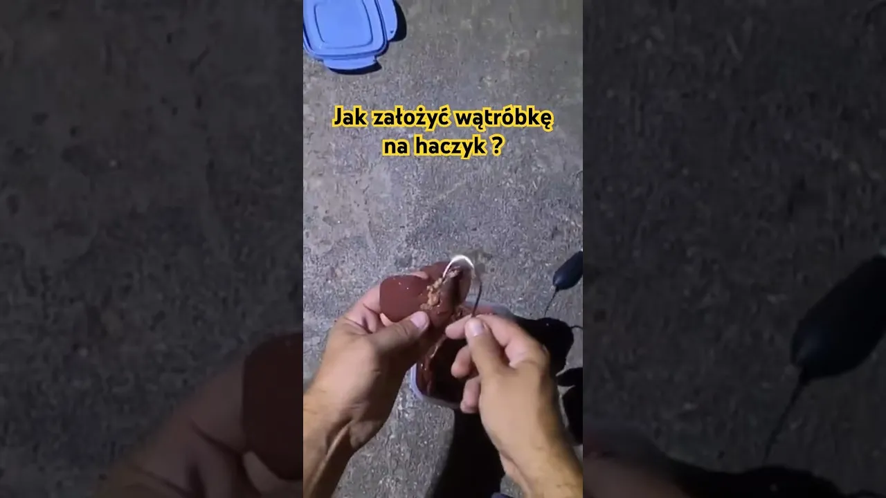 Zdjęcie Jak założyć wątróbkę na haczyk - uniknij najczęstszych błędów